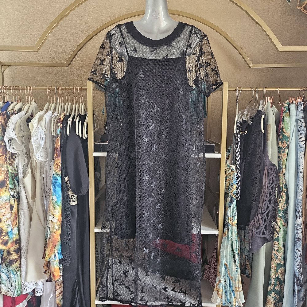 Elegant Black Sheer Dress